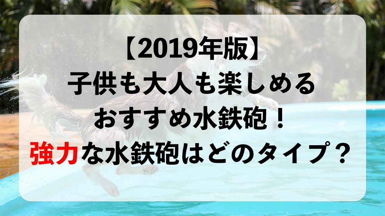 19年版 子供も大人も楽しめるおすすめ水鉄砲7選 強力な水鉄砲はどのタイプ Himakuroブログ