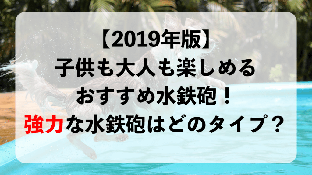 water-gun-osusume-2019