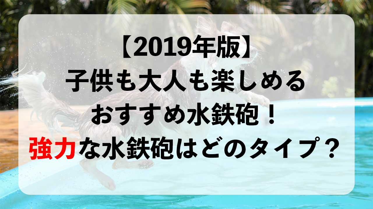 water-gun-osusume-2019